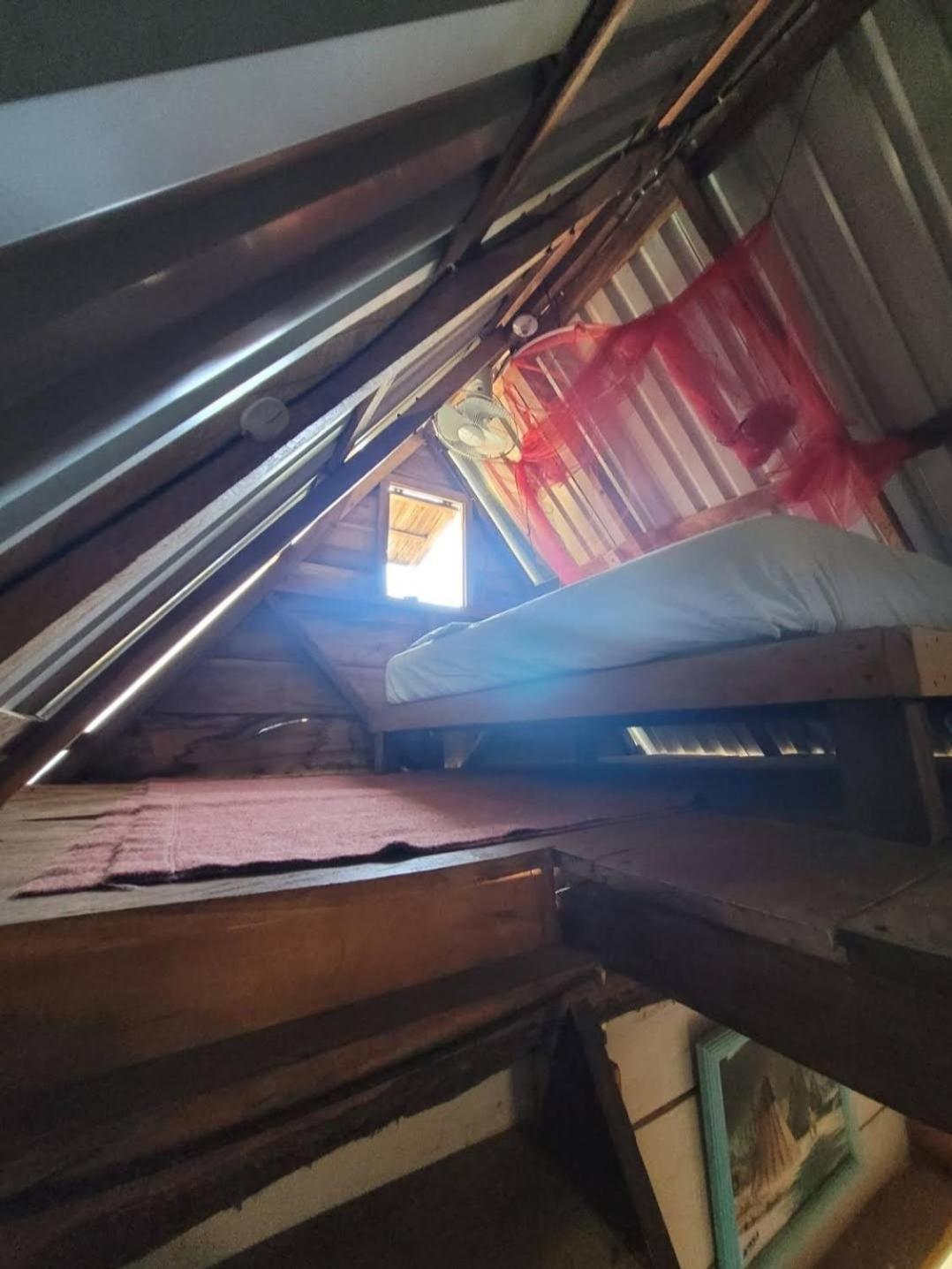 דירות El Gigante Coconut House מראה חיצוני תמונה